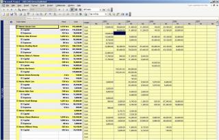 Resource Capital versus Expense